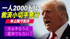 一人2000ドルの救済小切手発行が米国上院で否決　