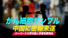 がん細胞サンプル中国密輸未遂 ハーバード大学中国人学者に有罪判決