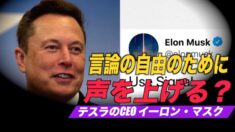 テスラのマスク氏も言論の自由のために声を上げる？