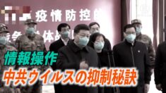 【夜間ニュース】中共ウイルスの抑制手段 情報操作により「成功」を収める