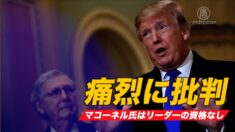 川普聲明 嚴斥參院少數黨領袖麥康奈爾
