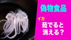 【中国一分間】瀋陽市 ８万か所にトイレ設置したのち５万か所が廃棄処分 批判続出