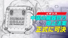 英 中共による強制臓器摘出の阻止に関する修正案を正式に可決