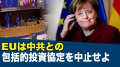 「EUは中共との包括的投資協定を中止せよ」100人以上の専門家が呼びかける【禁聞】
