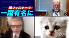 米国「猫フィルター」をかけた弁護士 オンライン裁判で話題沸騰　