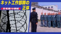 中共の「ネット工作部隊」の正体 実は〇〇者だった