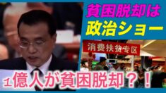 習近平の「貧困脱却」はやはり政治ショーだった