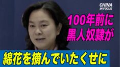 新疆の強制労働？中共報道官が百年前の米国の奴隷の写真で反論