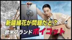 「バーバリー」中国で反発を受ける 新疆における強制労働による綿花生産巡り