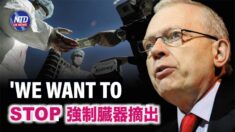 英上院議員ハント卿 「法律により中共の強制的臓器摘出を制止すべき」