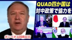 ポンペオ元国務長官「クワッド四カ国は対中政策で協力を」