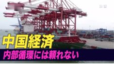 内部循環には頼れない 中国経済は輸出と不動産に依存【禁聞】