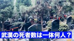 中共ウイルスによる武漢の死者数 お墓参りの人波で垣間見ることができる