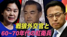 中共の戦狼外交官と文革時の紅衛兵