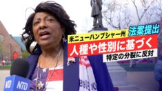 ニューハンプシャー州議員、批判的人種理論を禁止する法案を提出