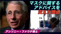 ファウチ氏 マスクに関するアドバイスを変えた理由を説明