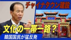 韓国江原道にチャイナタウン建設 「文化の一帯一路」に国民が猛反発