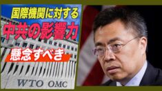 懸念すべき国際機関に対する中共の影響力