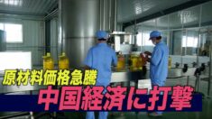 原材料価格急騰 中国経済に打撃