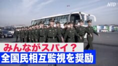 みんながスパイ？全国民相互監視を奨励する法規が即日発効【禁聞】