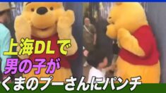 上海DLで少年が「くまのプーさん」にパンチ