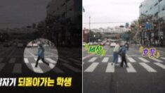 지팡이 짚은 할아버지가 걱정돼 건너온 횡단보도를 다시 뛰어간 학생 (영상)