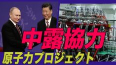 原子力プロジェクトで中露が協力