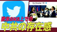 欧米SNS上での中共の存在感 大量のプロパガンダ投稿となりすましアカウント