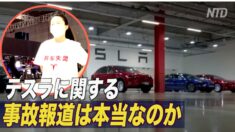 「テスラに関する報道は本当なのか」専門家が反論