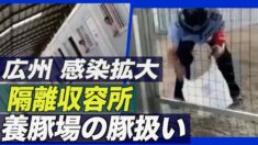 広州で感染拡大 隔離エリア住民に深刻な物資不足【禁聞】