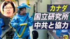 カナダの国立微生物研究所が中共と協力