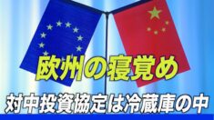 「欧州の寝覚め」 欧州議会 対中投資協定の批准審議凍結