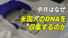 中共はなぜ米国民のDNAを収集するのか？ 収集の方法とは？