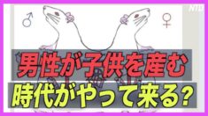 オスネズミでの妊娠・出産研究の中国軍医に疑問の声「自然の摂理に反する」【禁聞】