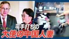 駐韓ベルギー大使夫人 衣料品店で暴行 外交免責特権はく奪＆大使離任