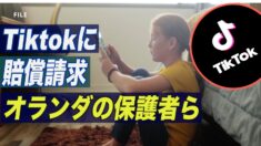 オランダの保護者ら TikTokに17億ドルを賠償請求 「子供のプライバシーと安全を軽視」