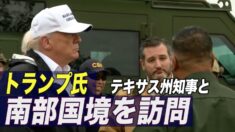 トランプ氏 テキサス州知事と南部国境を訪問 「国境の壁」の必要性を強調