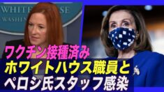 ホワイトハウス職員とペロシ議長のスタッフが感染