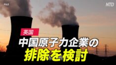 英国 中国原子力企業の排除を検討