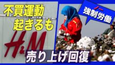 H&M 新疆綿調達停止声明より中国で不買運動起きるも売上高回復