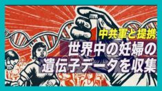 中国バイオ大手が軍と提携 世界中の妊婦の遺伝子データを収集【禁聞】