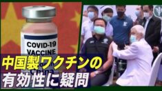 中国製ワクチンの有効性に疑問