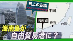 海南島が自由貿易港に？国外の期待感は希薄
