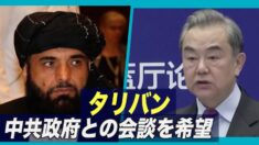 反政府武装組織タリバン 中共政府との会談を希望