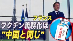 作家：フランスのワクチン義務化は「中国と同じ」