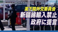 英下院外交委員会 政府に新疆綿の輸入禁止提言  ウイグル問題で「より強力な対応措置必要」