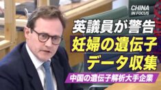 英議員が警告 中国の遺伝子解析大手企業による妊婦の遺伝子データ収集