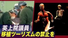 英上院議員 移植ツーリズムの禁止を呼びかける