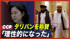 中共がタリバンを称賛「理性的になった」