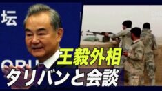 王毅外相 タリバン代表団と会談 「和平と復興での役割を期待」